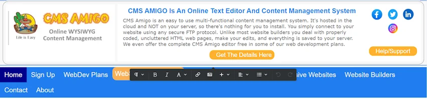 CMS Amigo Edit View